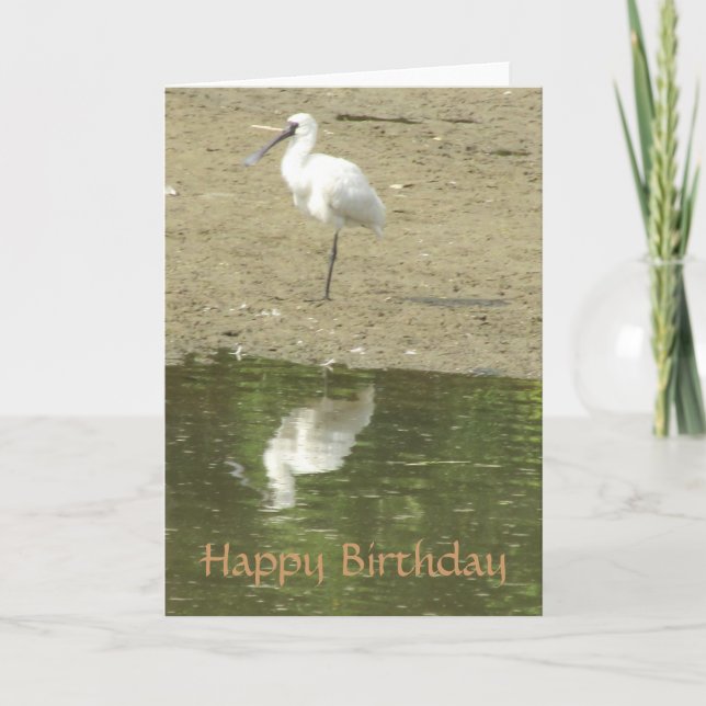 Spoonbill Birthday Card (Front)