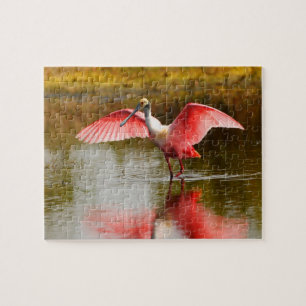 Spoonbill Jigsaw Puzzle