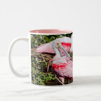 Spoonbill Sanctuary: Hidden Gems Mug