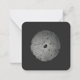 Spore Print Note Card