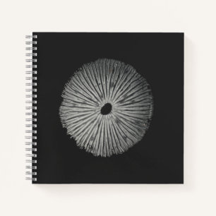 Spore Print Note Card Notebook