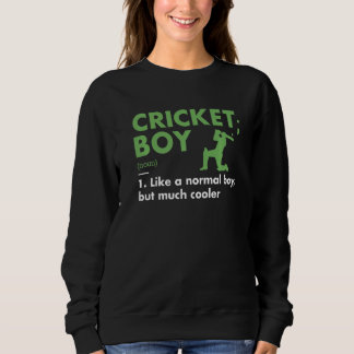 Sport Boy Definition Cricket Premium Sweatshirt
