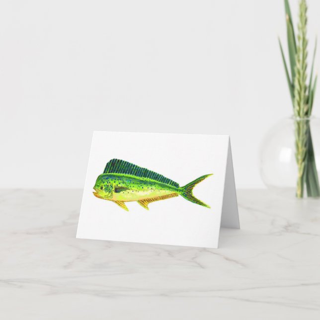 SPORTFISH NOTE CARDS (Front)