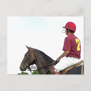 SPORTING HORSES POSTCARD