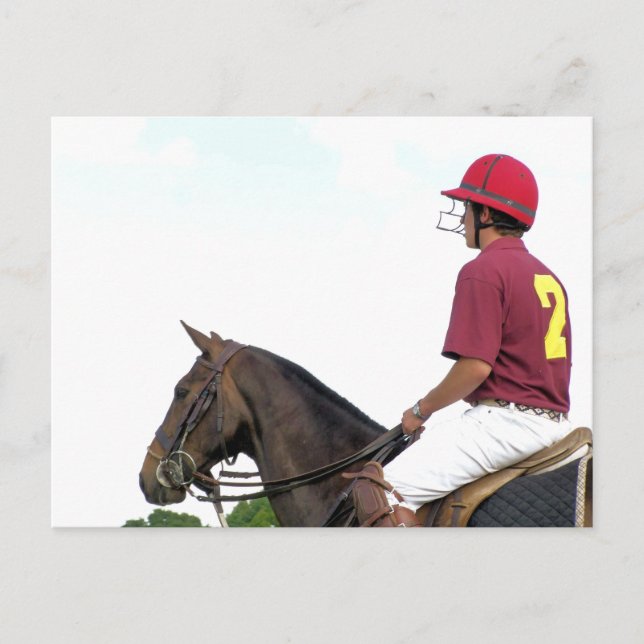 SPORTING HORSES POSTCARD (Front)