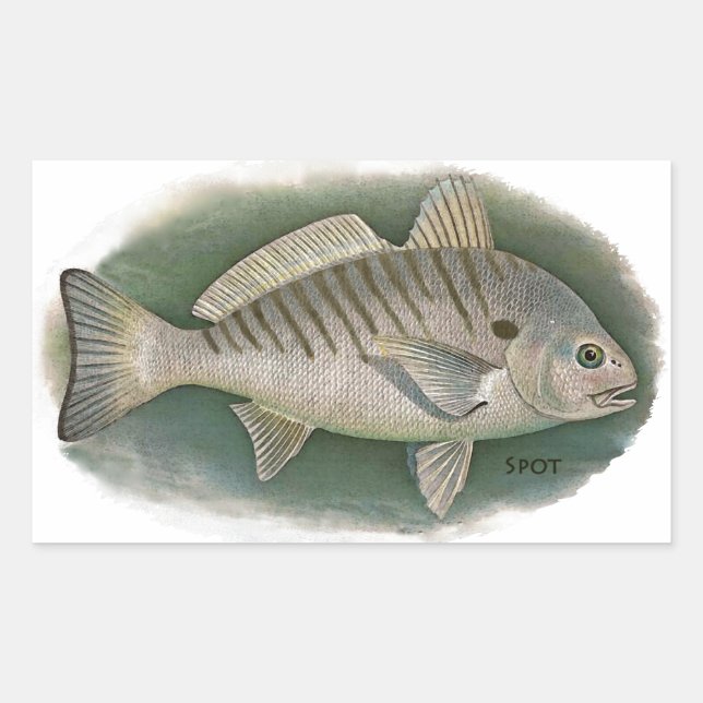 Spot Fish Logo Rectangular Sticker (Front)