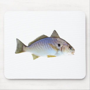 Spot Fish Photo Mouse Pad