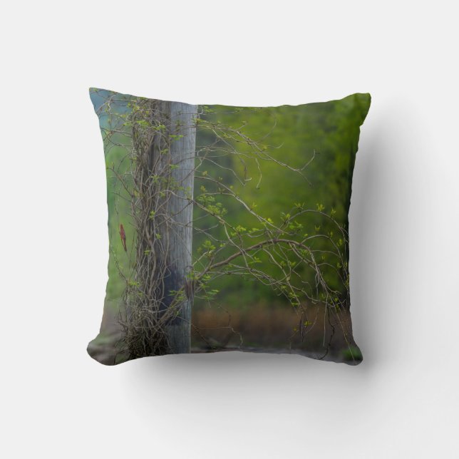 Spot Of Red Cushion (Front)