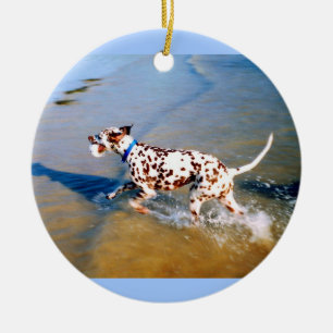 Spot the dog ceramic ornament