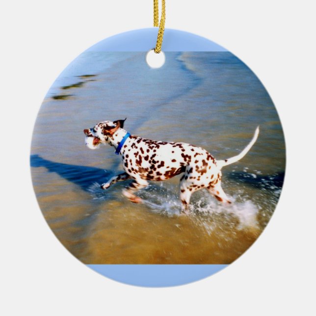 Spot the dog ceramic ornament (Front)