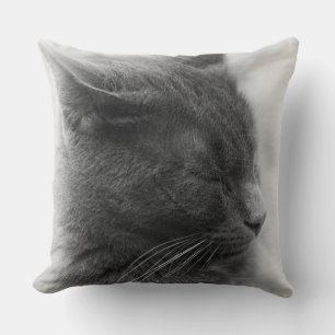 Spot the Magnificent Grey Imperious Cat Cushion