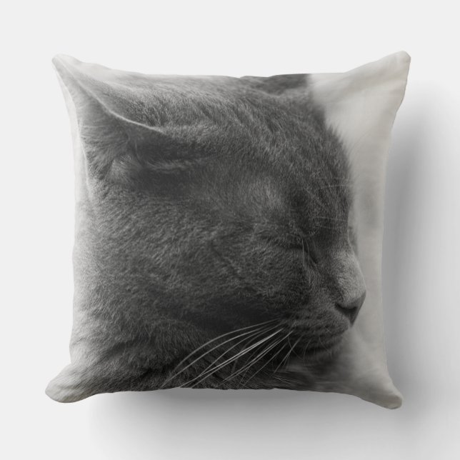 Spot the Magnificent Grey Imperious Cat Cushion (Front)