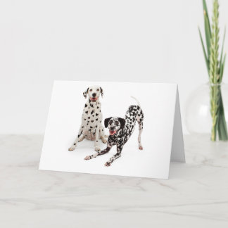 Spot True Love Greeting Card