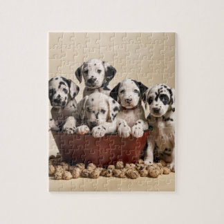 Spotlight of Love: Dalmatian Delight Jigsaw Puzzle
