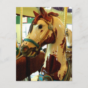 Spots Postcard
