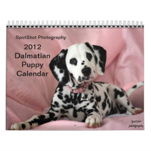SpotShot Photography's 2012 Calendar