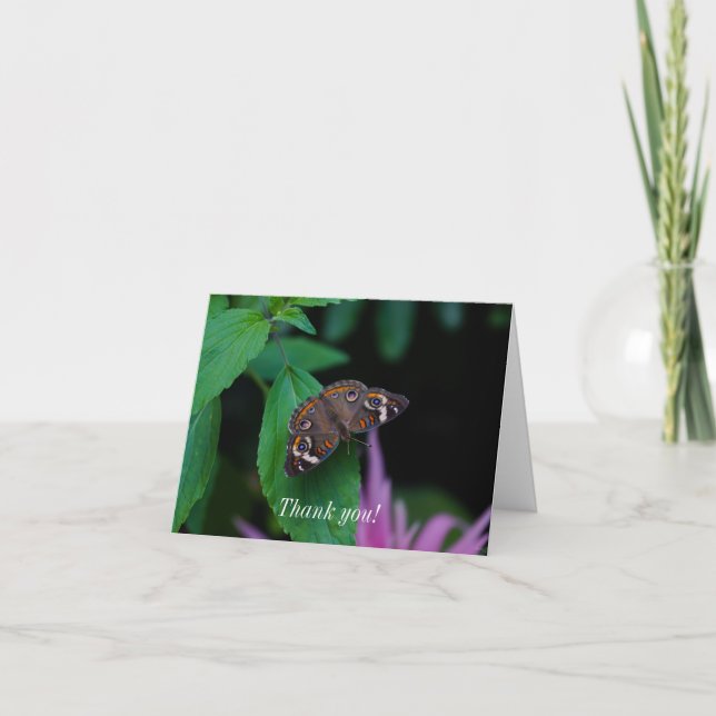 Spotted Butterfly Thank You Card (Front)