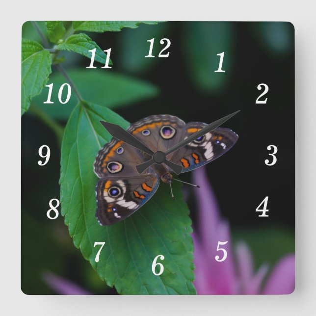 Spotted Butterfly Wall Clock (Front)