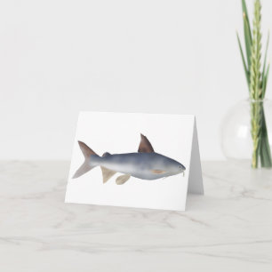 Spotted Catfish Note Card