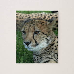Spotted Cheetah Puzzle