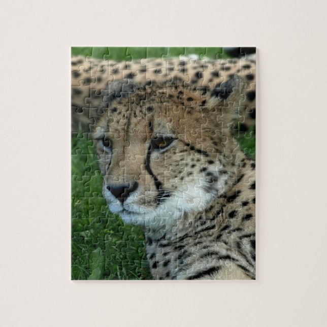Spotted Cheetah Puzzle (Vertical)