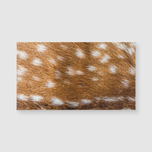 Spotted deer fur texture