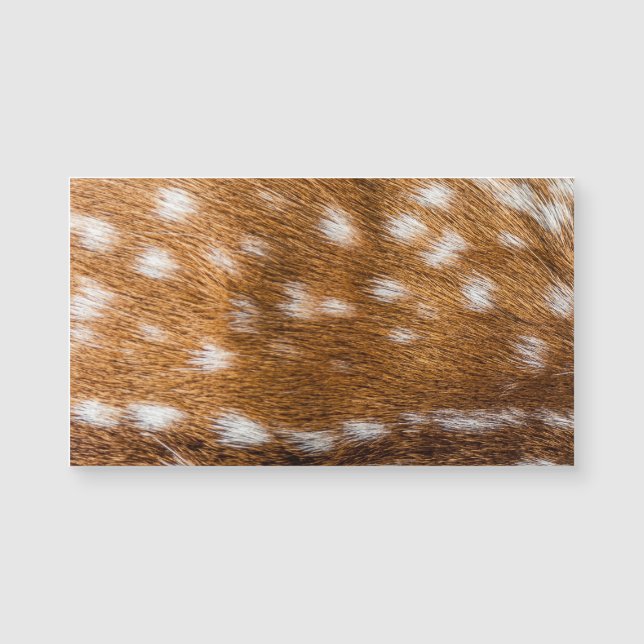 Spotted deer fur texture (Front)