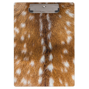 Spotted deer fur texture clipboard