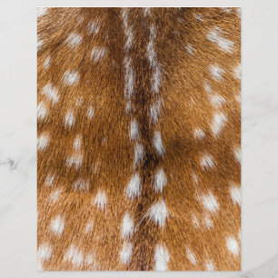 Spotted deer fur texture flyer