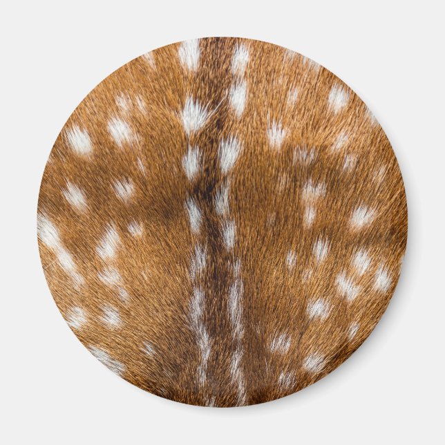 Spotted deer fur texture magnet (Front)