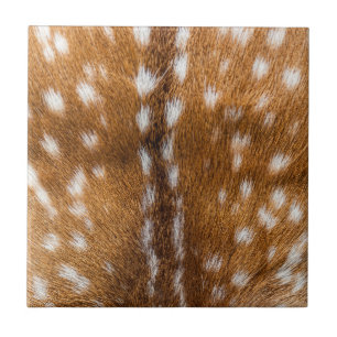 Spotted deer fur texture tile