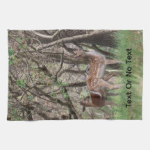 Spotted Deer Photo