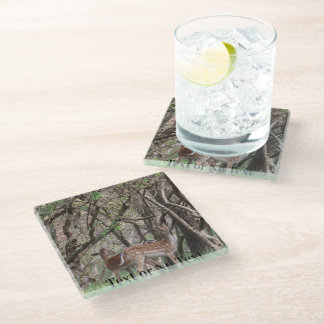 Spotted Deer Wildlife Premium Photo Coaster