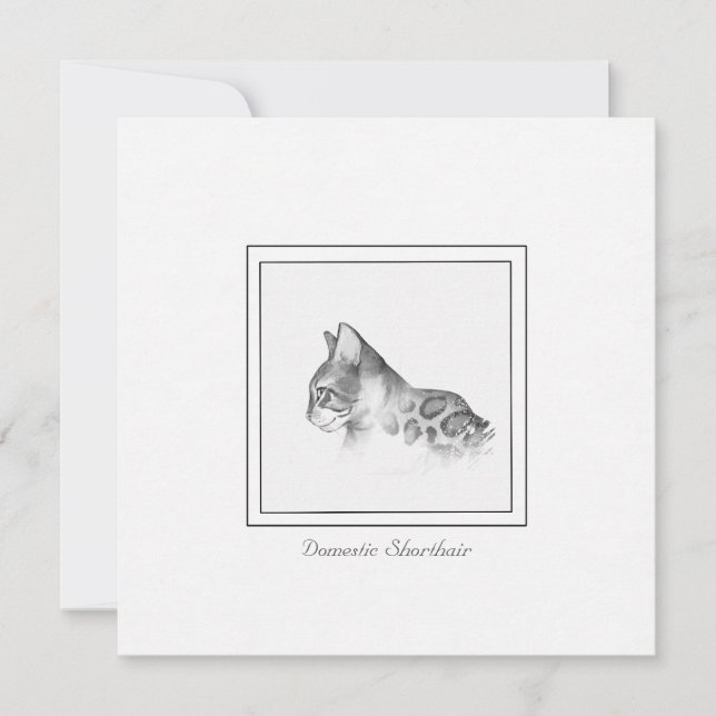 Spotted Domestic Shorthair Cat Drawing Note Card (Front)