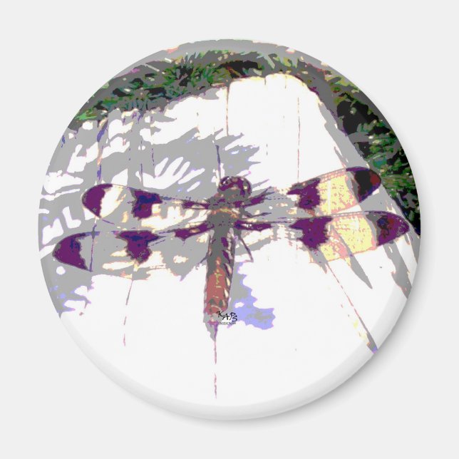 Spotted Dragonfly Magnet (Front)