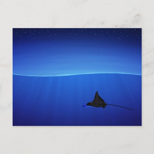 Spotted eagle ray, Aetobatus narinari Postcard (Front)