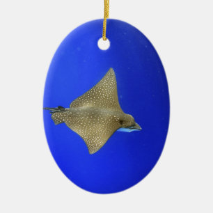 Spotted eagle ray swimming underwater Galapagos Ceramic Tree Decoration