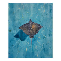 Spotted Eagle Stingray - Ocean