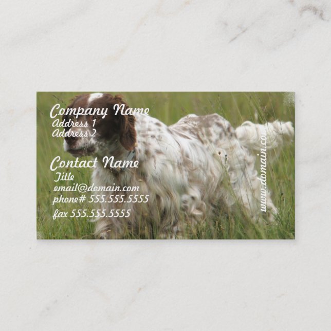 Spotted English Setter Dog Business Cards (Front)