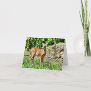 Spotted Fawn Card