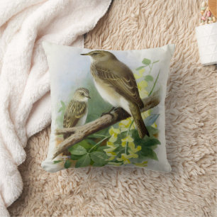 Spotted Flycatchers, Art Illustration Cushion