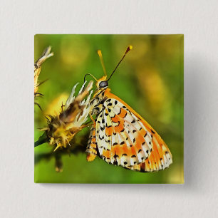 Spotted Fritillary Orange and White Butterfly 15 Cm Square Badge
