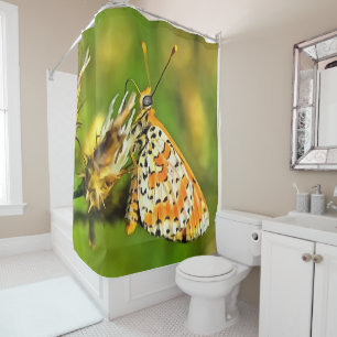 Spotted Fritillary Orange and White Butterfly Shower Curtain