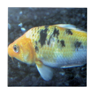 Spotted Goldfish Ceramic Tile