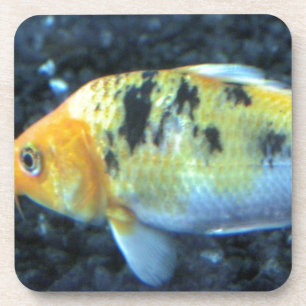 Spotted Goldfish Coaster