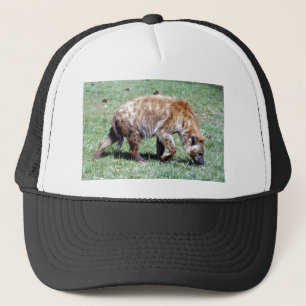 spotted hyena4x6 trucker hat
