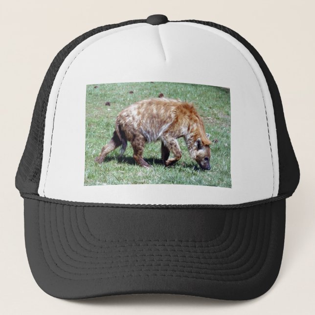 spotted hyena4x6 trucker hat (Front)