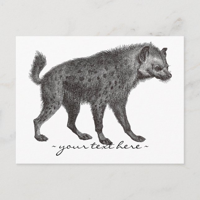 Spotted Hyena Post Card (Front)