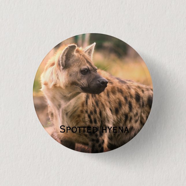 Spotted hyena:Savannah sunset 3 Cm Round Badge (Front)