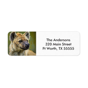 Spotted Hyena Wildlife Portrait Return Address Label